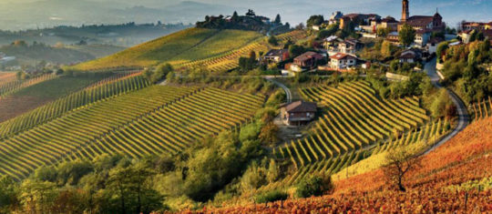La Toscacne