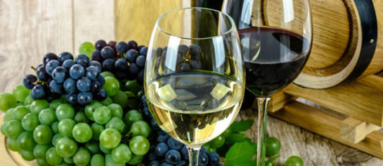 Profitez des vins Buzet bio