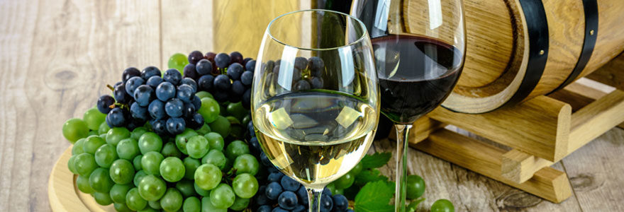 Profitez des vins Buzet bio
